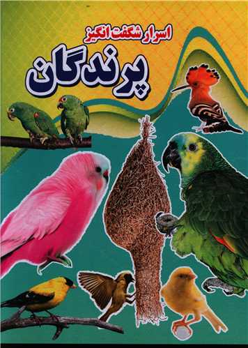اسرار شگفت انگیز (پرندگان)
