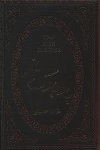 بادبادک باز (جیبی/چرم)