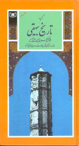 گزیده تاریخ بیهقی (پالتویی)
