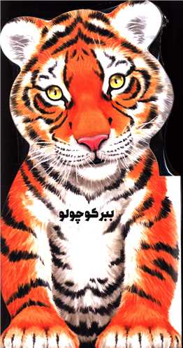 ببر کوچولو 
