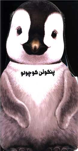 پنگوئن کوچولو 