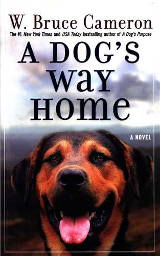 A Dogs Way Home  مسیر بازگشت یک سگ به خانه