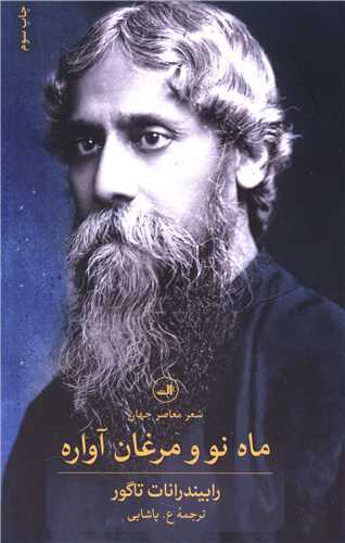 ماه نو و مرغان آواره 