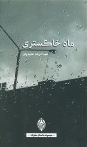 ماه خاکستري (پالتويي)(هونار)