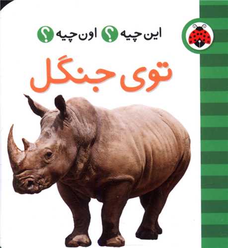 فرهنگ تصویری این چیه اون چیه (توی جنگل)(شهر قلم)