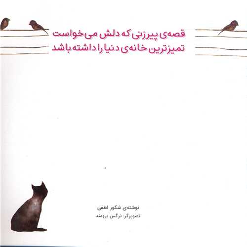 قصه پیرزنی که دلش میخواست تمیزترین خانه دنیا را داشته باشد (شهر قلم)