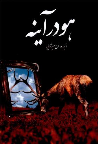 هو در آینه 