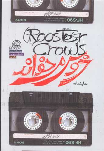 خروس میخواند 