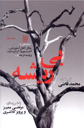 بی ریشه 