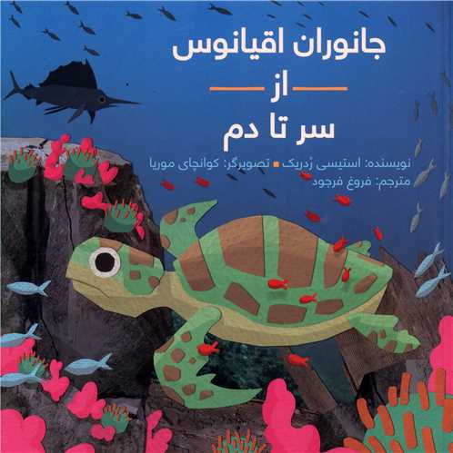 از سر تا دم (جانوران اقیانوس)(شومیز)
