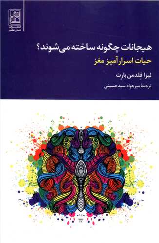 هیجانات چگونه ساخته می شوند