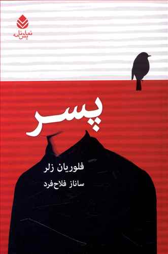 پسر (قطره)
