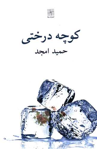 کوچه درختی 