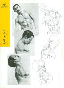 آناتومی هنری 