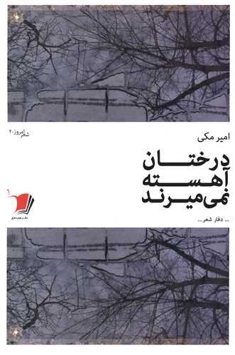 درختان آهسته نمی میرند 