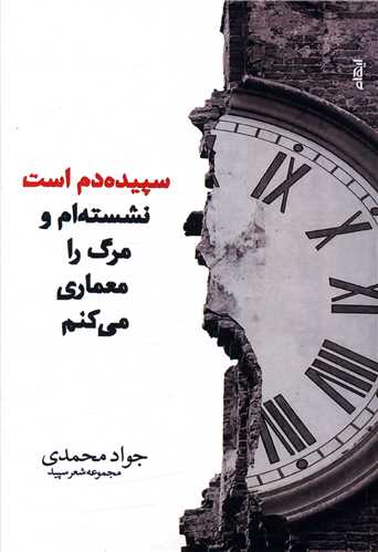 سپیده دم است نشسته ام و مرگ را معماری می کنم 