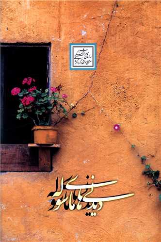 ديدني هاي ماسوله (روزنه)