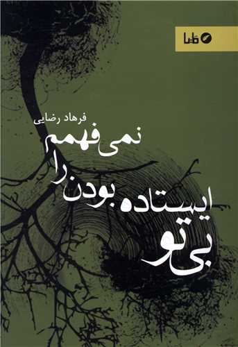 بي تو ايستاده بودن را نمي فهمم (مايا)