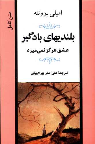 بلنديهاي بادگير (جامي)