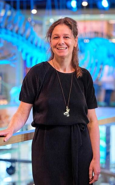 کتاب دیدار با ونسان ون گوگ