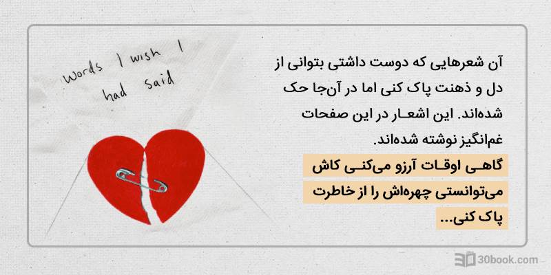 کتاب the words i wish i said