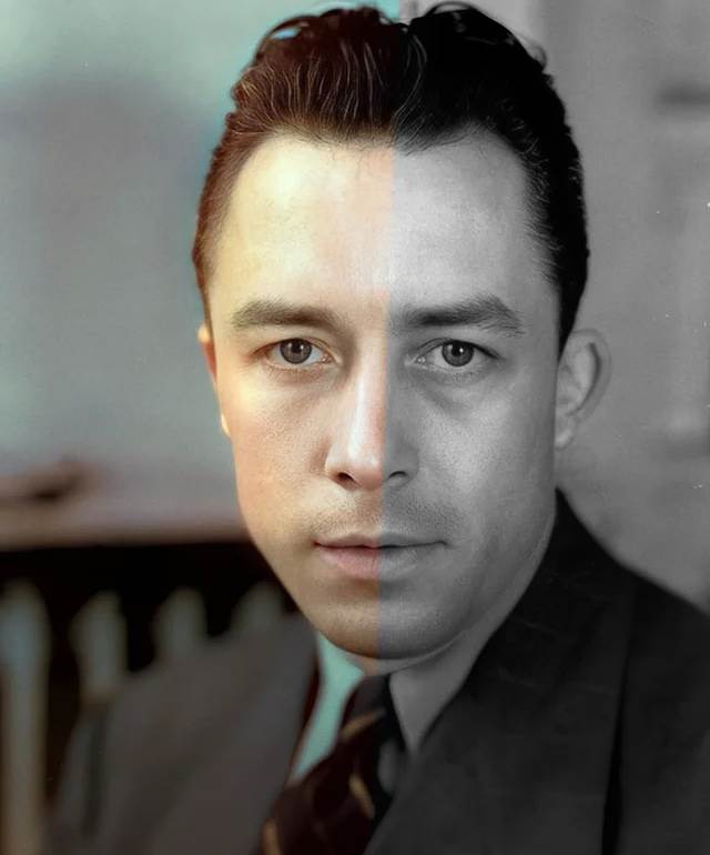 کتاب بیگانه