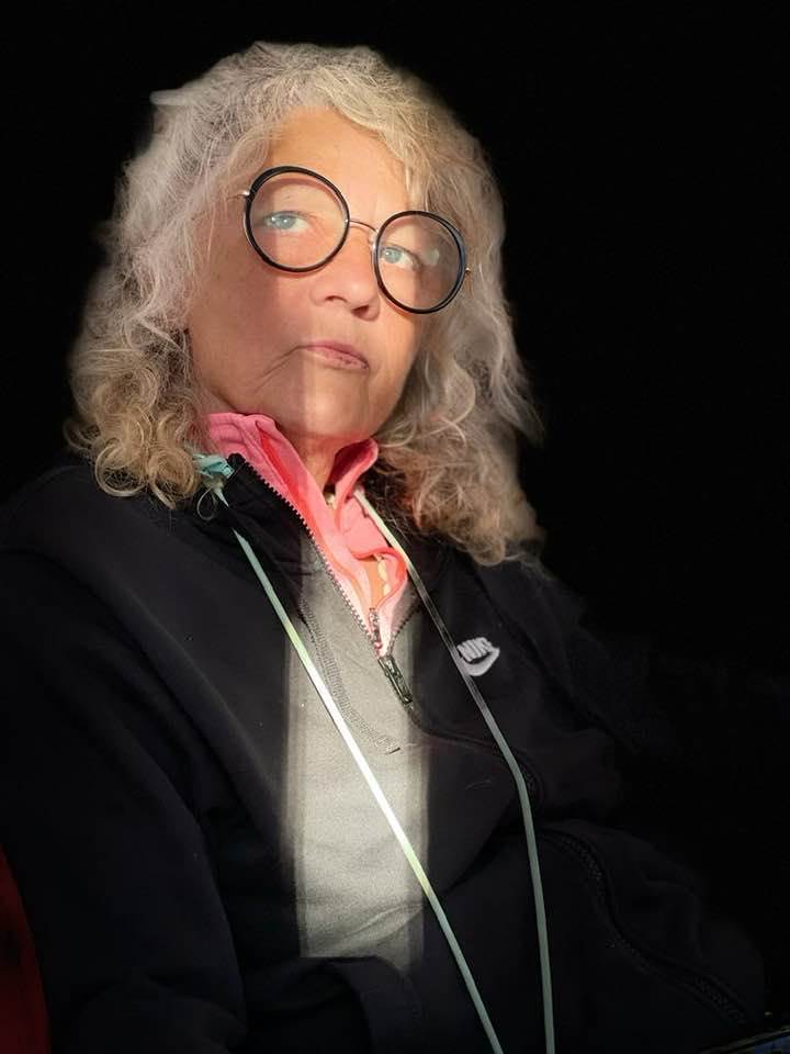 خاطرات یک ابله سیاسی