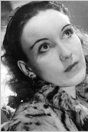 قاشق هایمان را از فروشگاه وولورت خریدیم