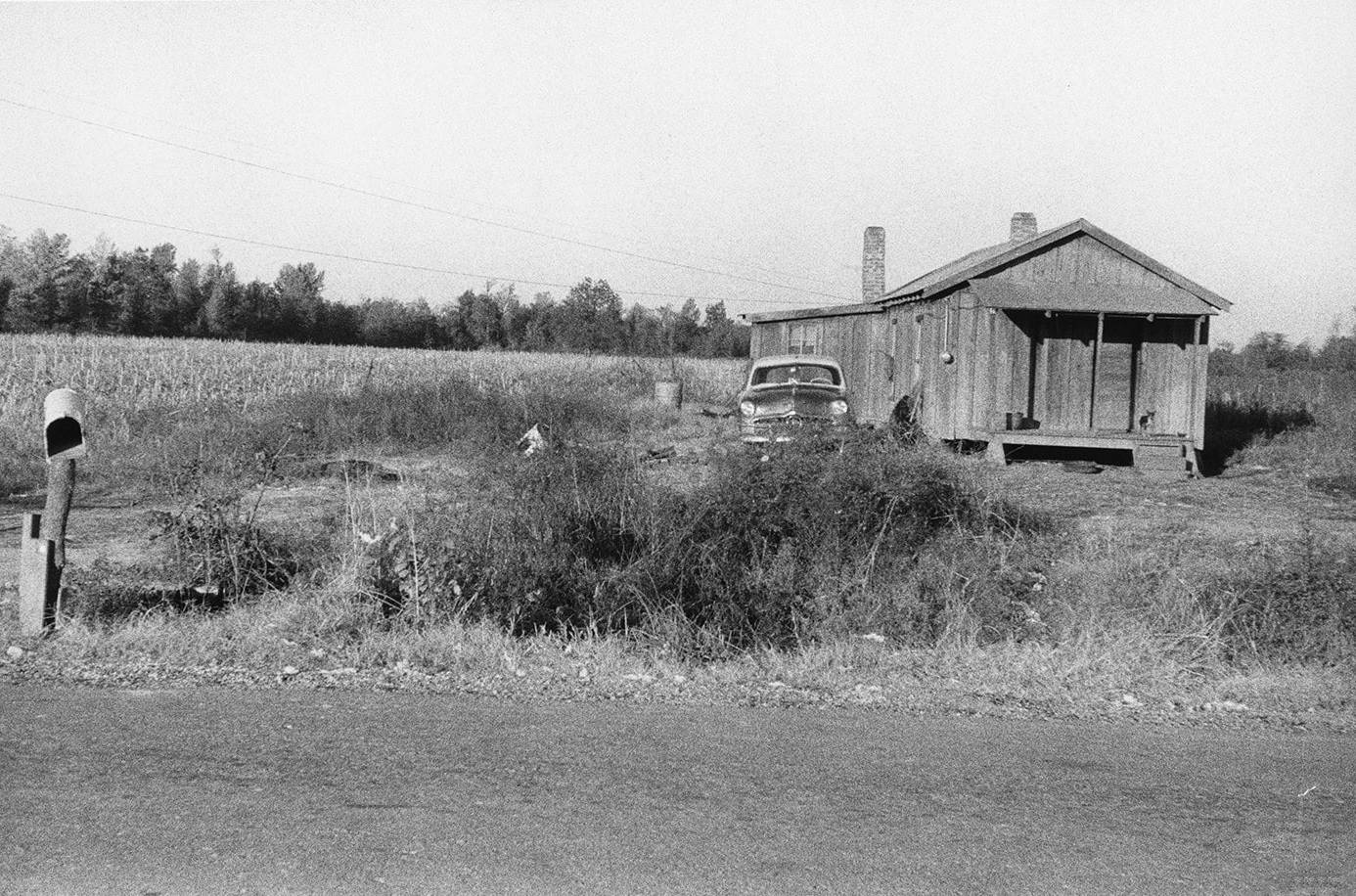 امريکا ديده