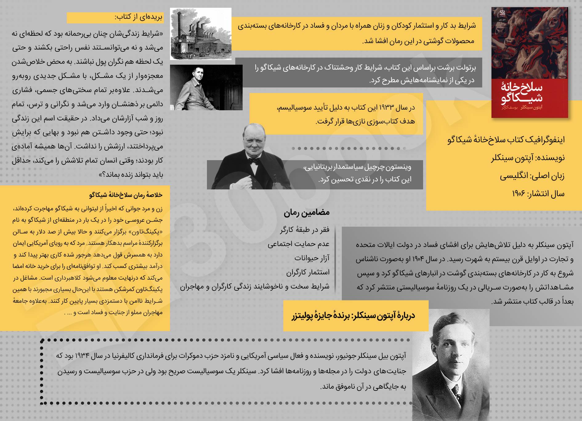 اینفوگرافیک سلاخ خانه شیکاگو