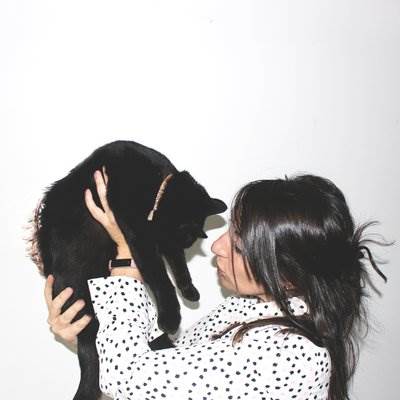 تاريخ هنر با 21 گربه