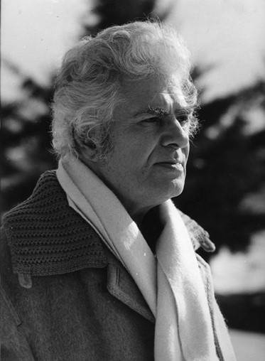 تصویر احمد شاملو