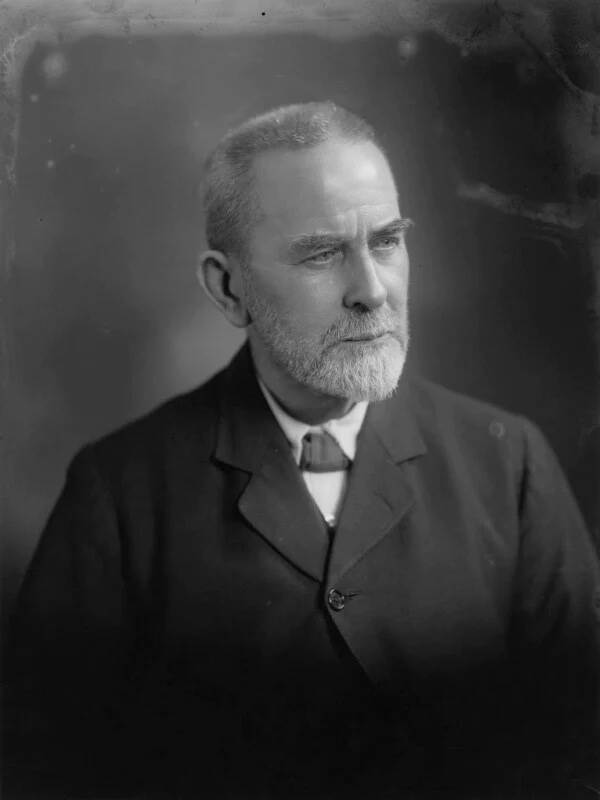 شاخه‌ی زرین