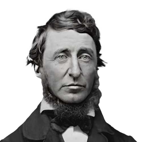 هنری دیوید ثورو