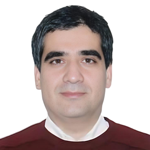 بابک صابری