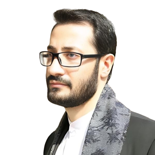 حامد حبیبی