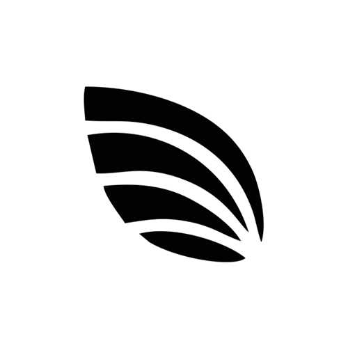 برگ زیتون