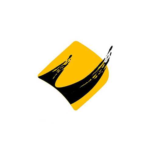 کرگدن