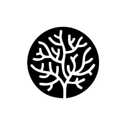 ایجاز