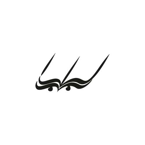 راه بین