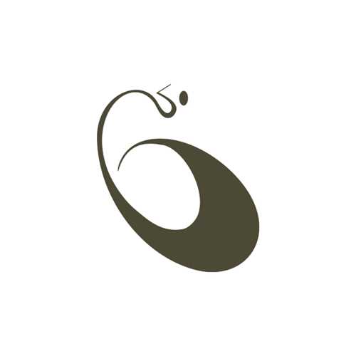 حفیظ