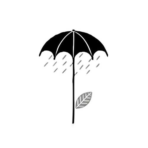 چتر