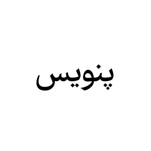 نشر پنویس