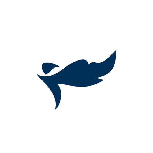 رویا پردازان نسل آینده