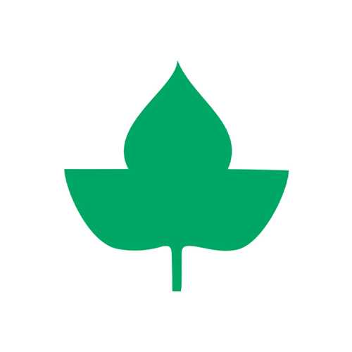 دارینوش