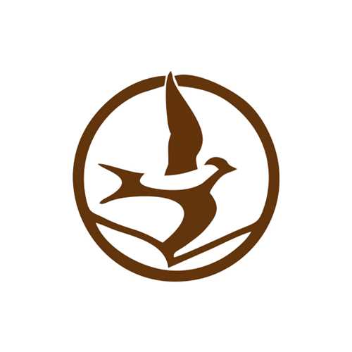 زرین